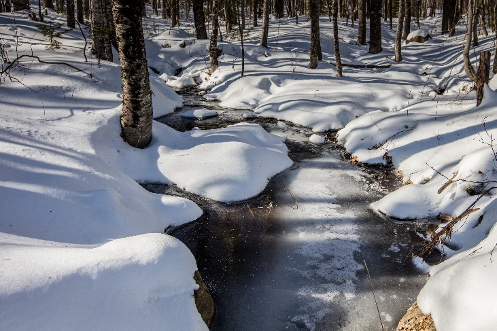 Ironwood Maine Web Update February 14, 2020